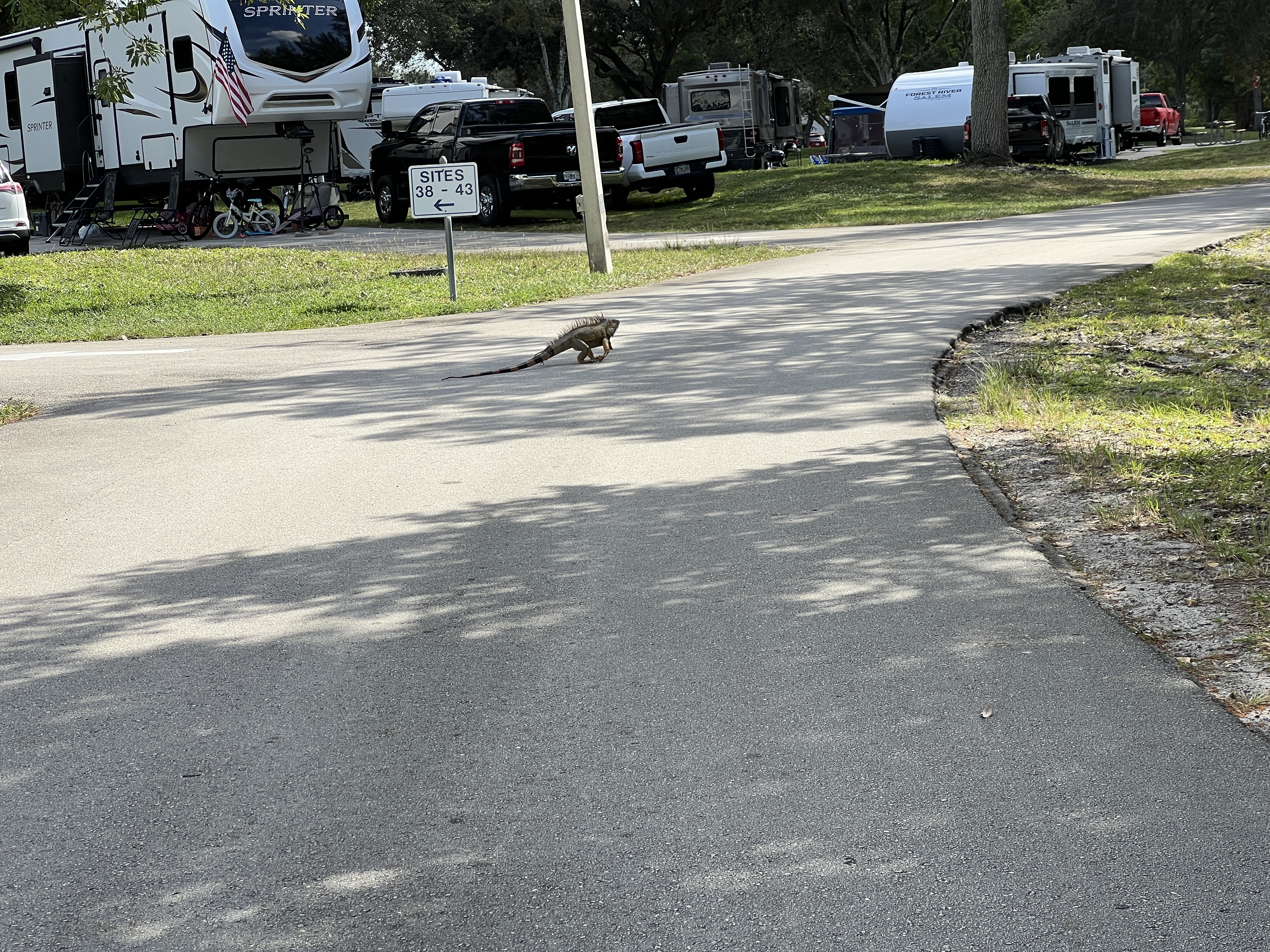 ./2025/12 - Pembroke Pines Wedding/IMG_7657.JPG